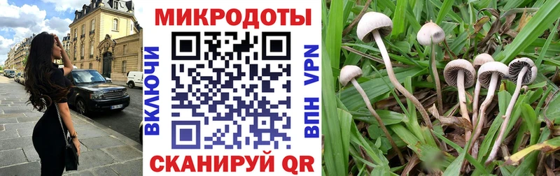 Галлюциногенные грибы Psilocybe  купить наркотик  Пролетарск 